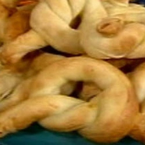 Fáciles: Tarta sin masa, torta sin huevo ni leche y nudos dulces y salados